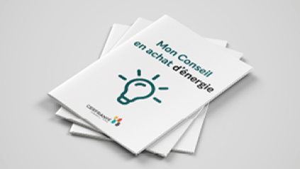 brochure du conseil en achat d'énergie